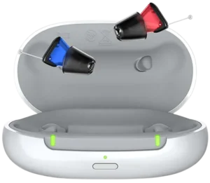 signia silk charge n go hearing aid along with the charging case