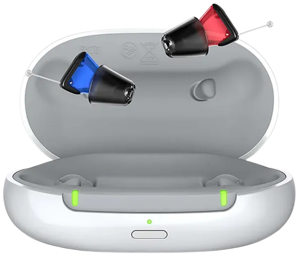 signia silk charge n go hearing aid along with the charging case